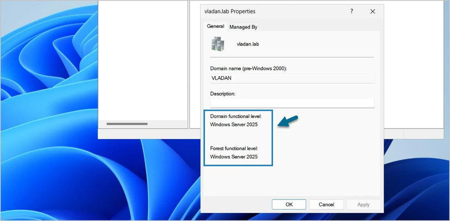 Windows Server 2025 Standard/Datacenter - SoftLicenties
